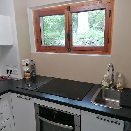 Chalet Le Tyrolien, au coeur du Boréon Saint-Martin-Vésubie Extérieur photo