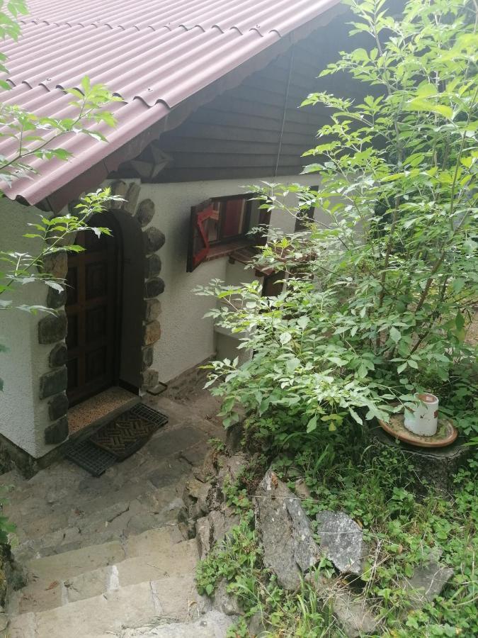 Chalet Le Tyrolien, au coeur du Boréon Saint-Martin-Vésubie Extérieur photo